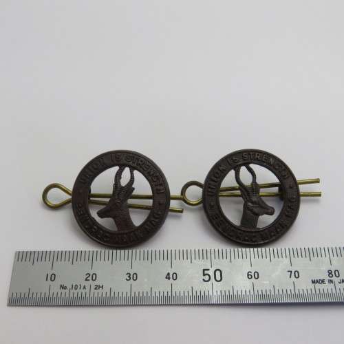 Pair of WW1 SA Infantry collar badges