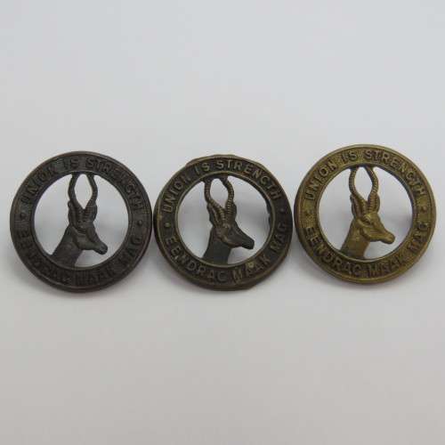 Lot of 3 different colour WW1 SA Army collar badges
