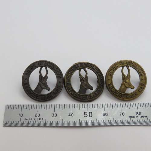 Lot of 3 different colour WW1 SA Army collar badges