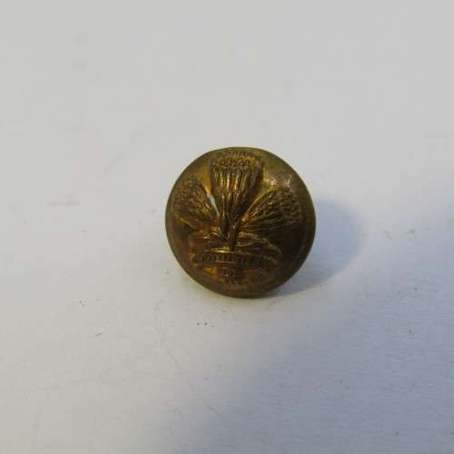 Lot of SADF Special Service Battalion mess dress rank buttons