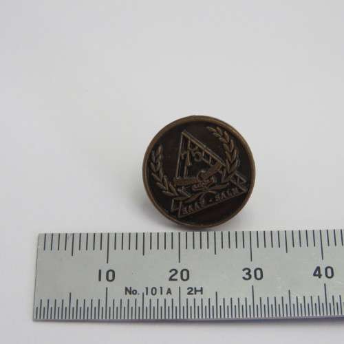 SA Air force 75 Years lapel pin badge