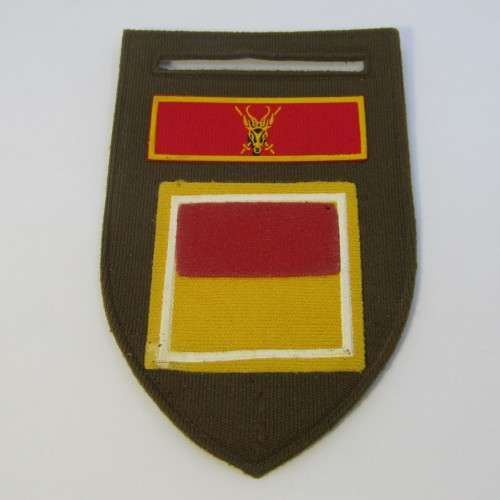 SADF Womens college Bravo company tupperware flash - no pin
