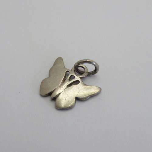 Silver charm Butterfly