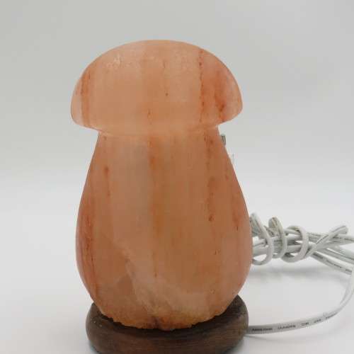 Natural Himalayan salt crystal lamp