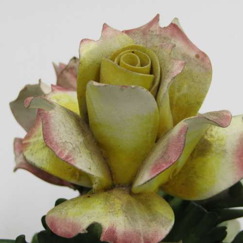 Porcelain Nuova Capodimonte flowers