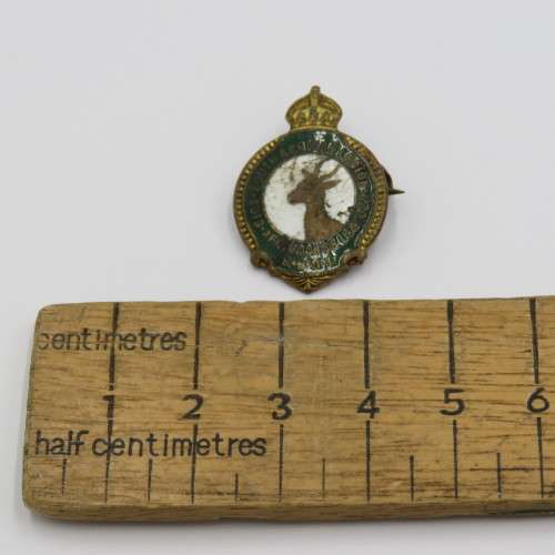 WW2 BESL South African Legion pin badge