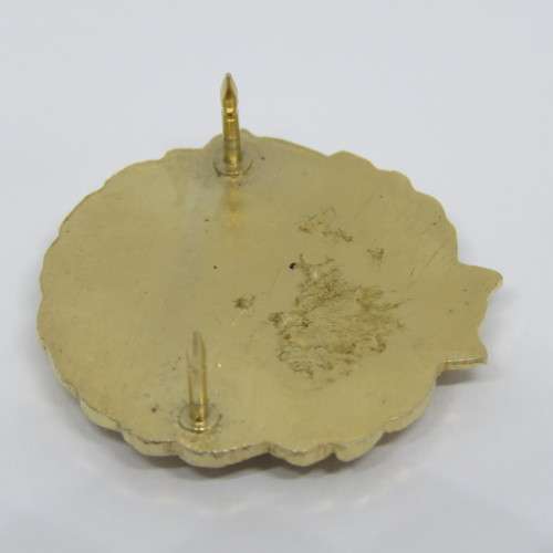 SA National Defence Force badge
