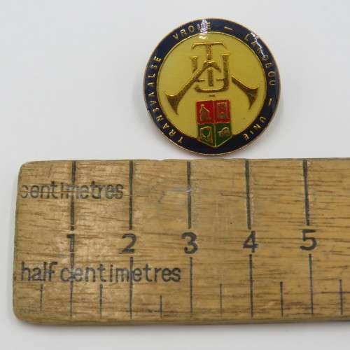Vintage Transvaalse Vroue-Landbou unie pin badge