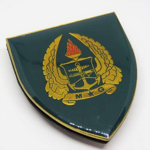 SADF Military Gymnasium shoulder flash
