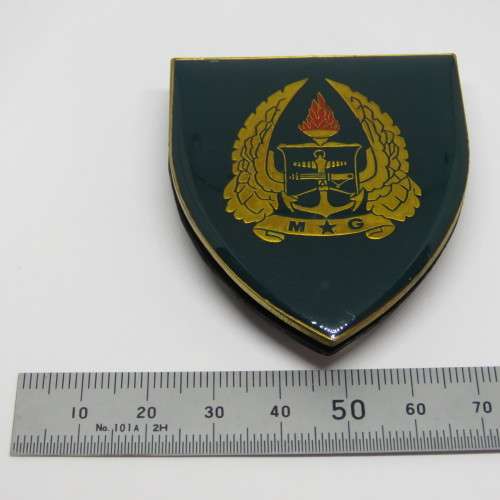 SADF Military Gymnasium shoulder flash