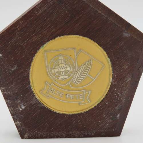 SADF Air Defence Artillery School 50 years medallion 1939-1989 Jubilee in stand
