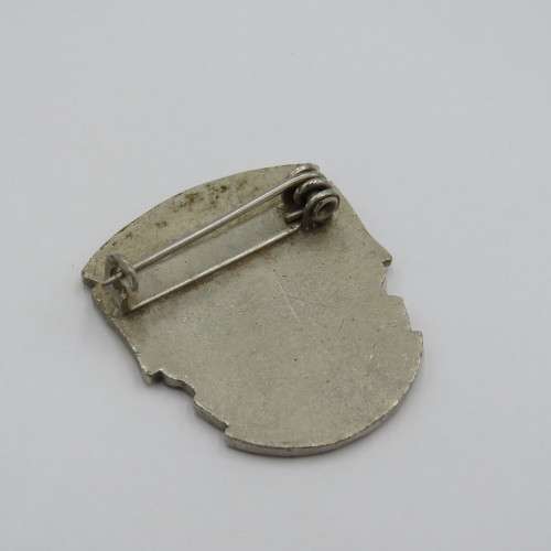 SA Nursing Association lapel badge