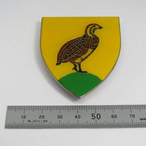 SADF Bloemfontein district commando shoulder flash
