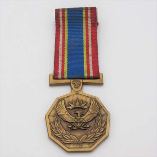 SA Police 10 Year loyal service medal - #023891