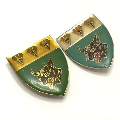 South West Africa sector 60 pocket flashes - 2 Variations (Keetmanshoop)