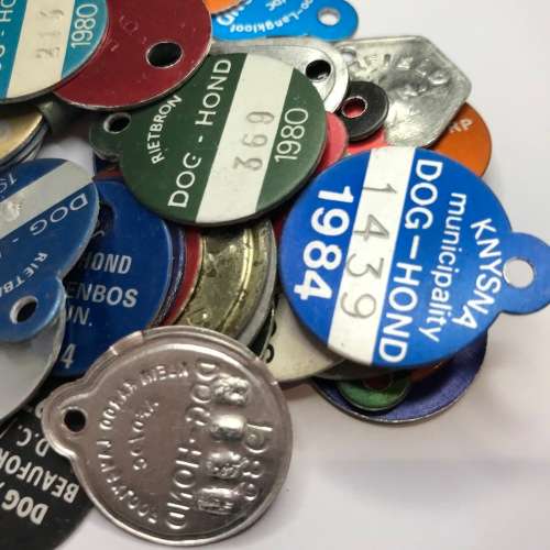 Lot of 40 dog Licenses for different towns - Late 70`s, Early 80`s