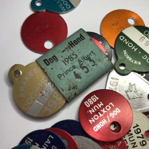 Lot of 40 dog Licenses for different towns - Late 70`s, Early 80`s