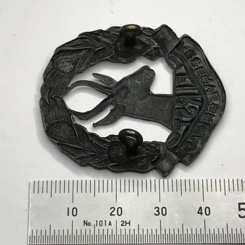 SA First Reserve Brigade cap badge