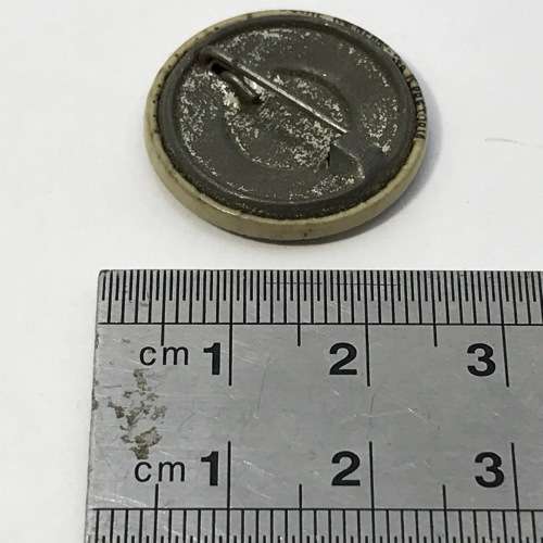 Van Riebeeck Festival Drommedaris April 1652 lapel badge