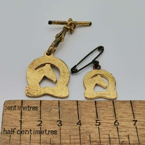 Pair of Pietermaritzburg city sporting club medallions
