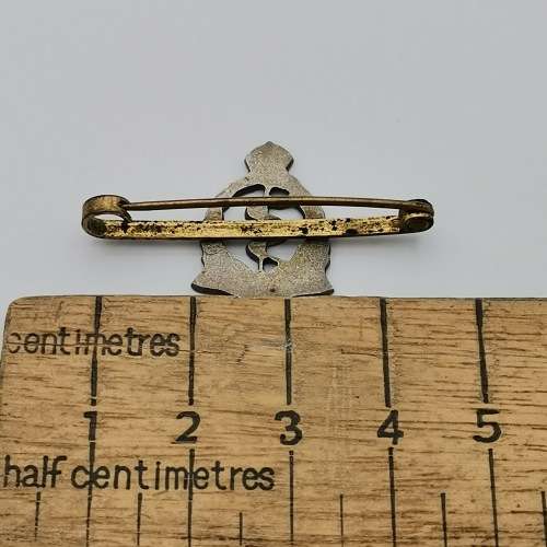 WW2 SA Medical corps sweetheart brooch