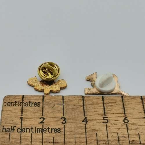 Pair of SA Rugby pin badges
