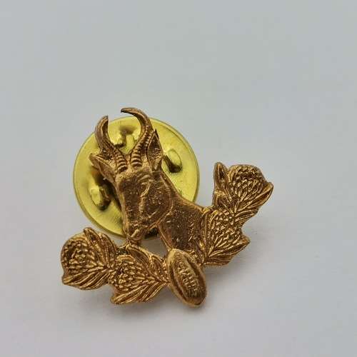 Pair of SA Rugby pin badges