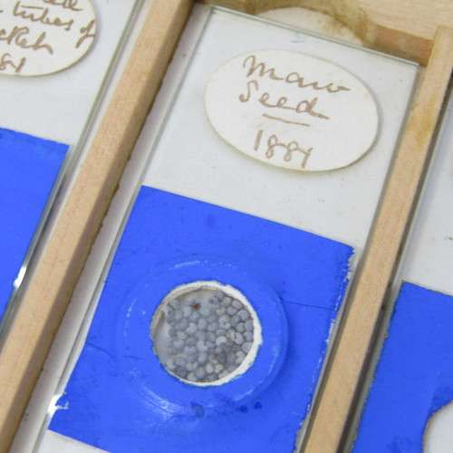 Lot of more 80 microscope slides - most made in the period 1867 - 1880 - in presentation box