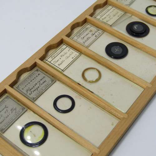 Lot of more 80 microscope slides - most made in the period 1867 - 1880 - in presentation box