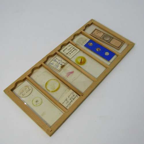 Lot of more 80 microscope slides - most made in the period 1867 - 1880 - in presentation box
