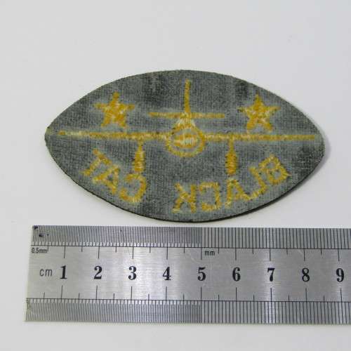 US Army Black Eagles cloth badge