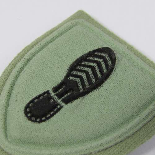 SANDF tracker qualification badge - embossed