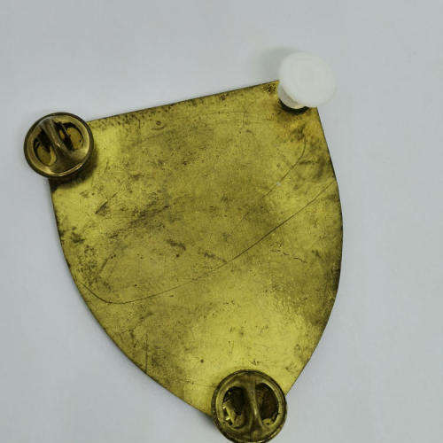 Pair of SADF Western Province command shoulder flash