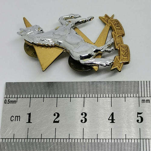Set of SADF Technical Service Corps cap and collar badge