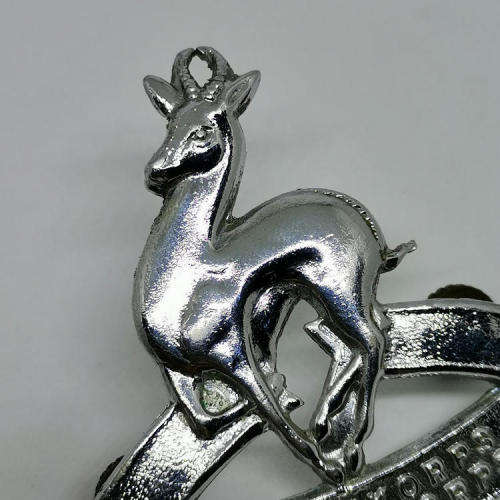SA Army Cadet Corps cap badge