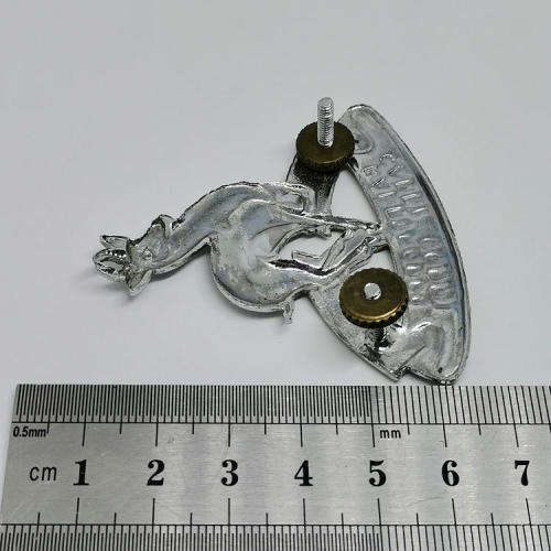 SA Army Cadet Corps cap badge