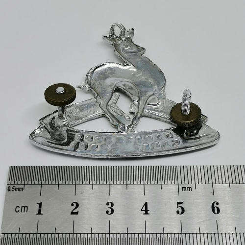 SA Army Cadet Corps cap badge
