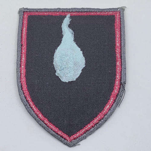 German Army Panzerregiment 100 cloth patch
