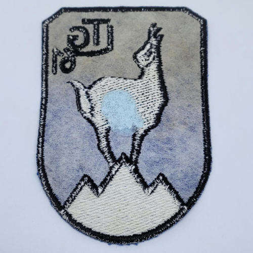 Vintage German Air Force 61 Air Transport squadron patch