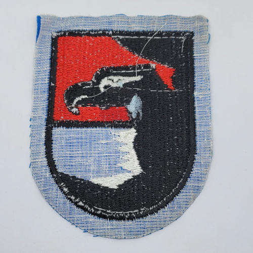 German Air Force 41 Light combat wing cloth patch