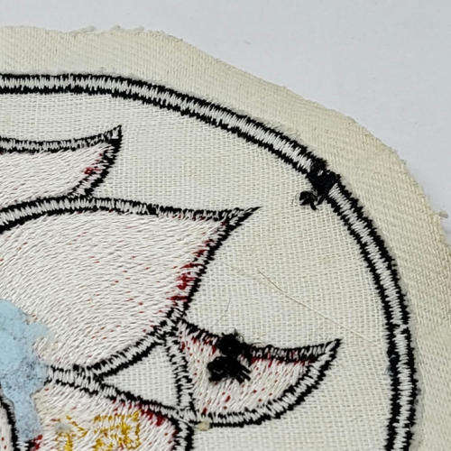 German Air Force 51 Reconnaissance wing recovery squadron patch