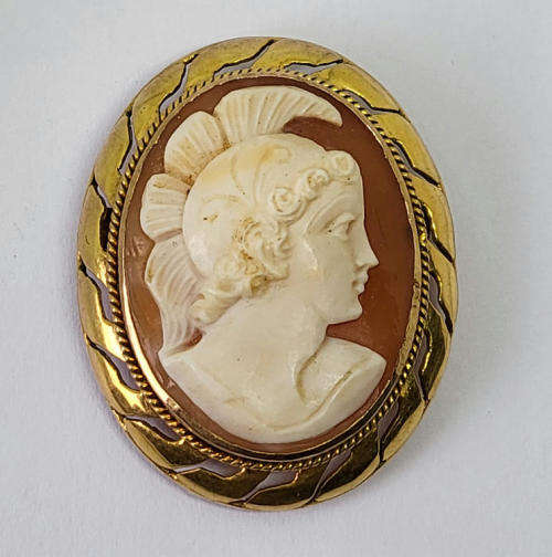 9kt Gold cameo brooch - High quality