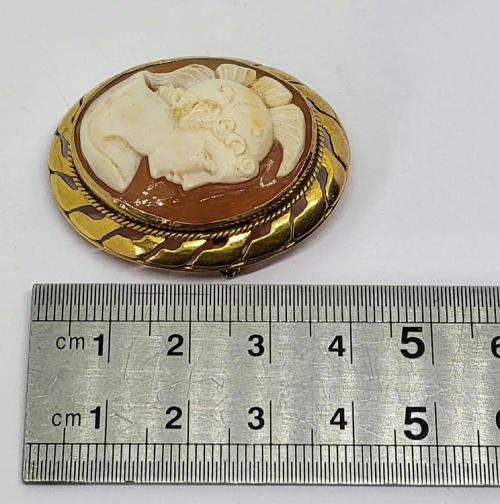 9kt Gold cameo brooch - High quality