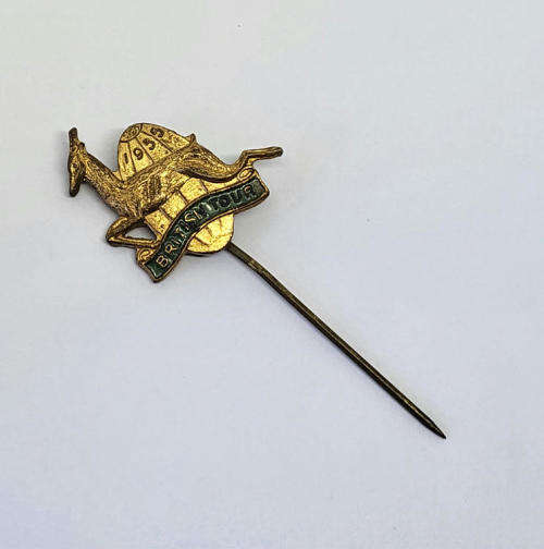 1955 Springboks rugby British Tour pin badge