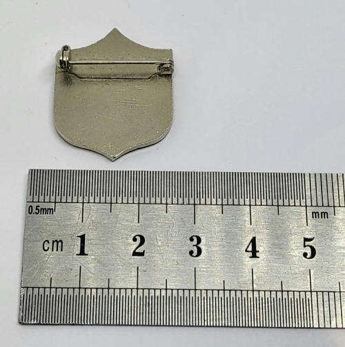 Johannes vd Walt Amateur stoei - Wrestling badge