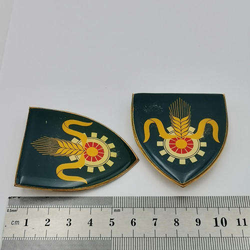 Pair of SA Quartermaster General Shoulder flash