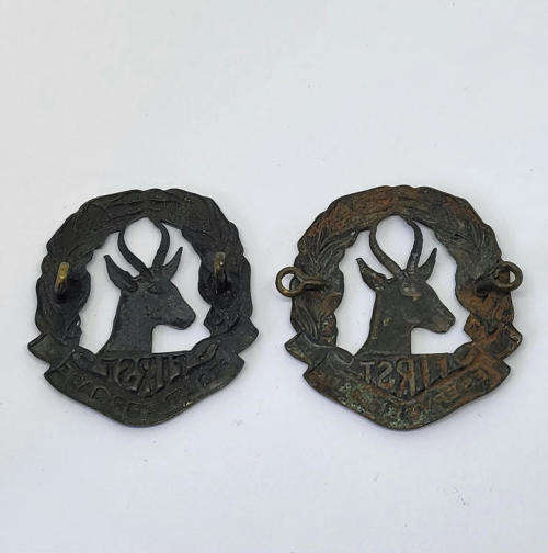 Pair of SA Army First Reserve Brigade badges