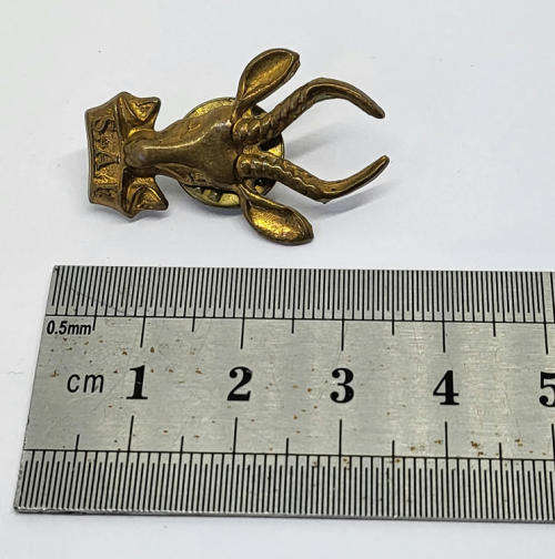 SA Infantry brass collar/beret badge