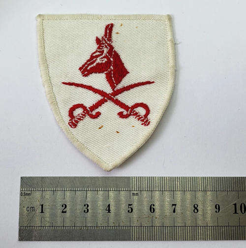 SADF Advanced PT Instructor cloth badge