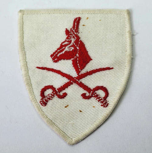 SADF Advanced PT Instructor cloth badge